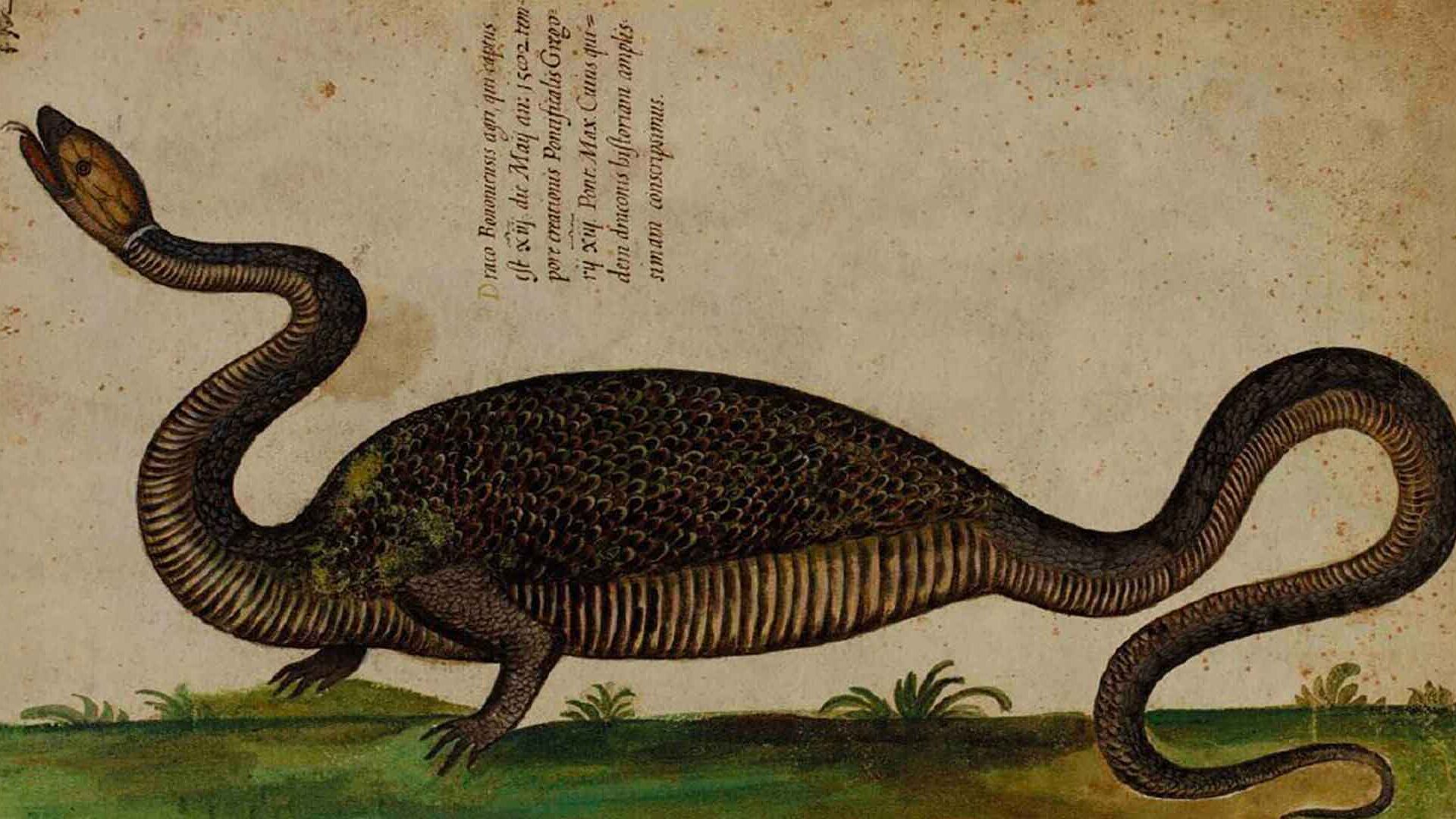 Lo studio della natura ai tempi di papa Boncompagni