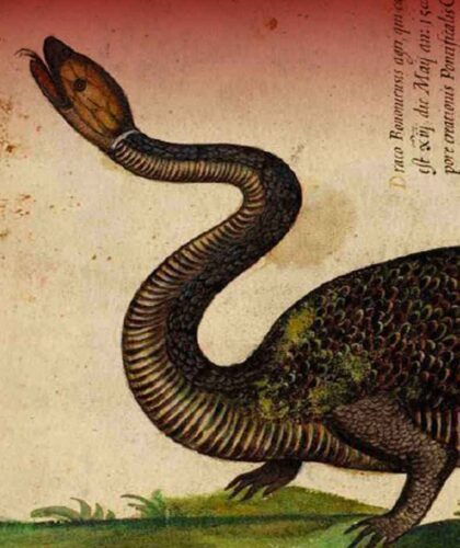 Lo studio della natura ai tempi di papa Boncompagni