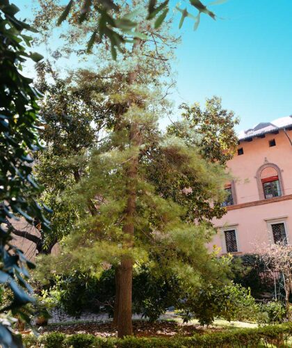 palazzo boncompagni giardino dettaglio